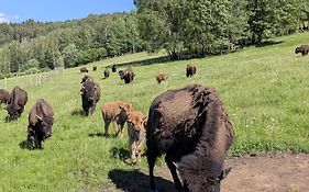 Caldisfarm Bison Lodge I Charmante Ferienwohnung Im Landhausstil
